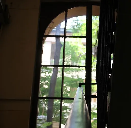 파니 부다페스트