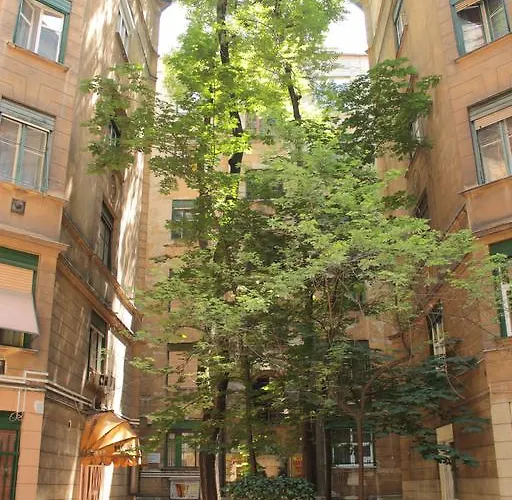 파니 부다페스트